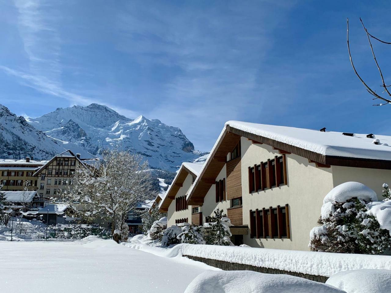 Chalet Primula Penthouse Wengen Exterior photo
